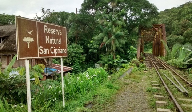 Piedra del Peñol