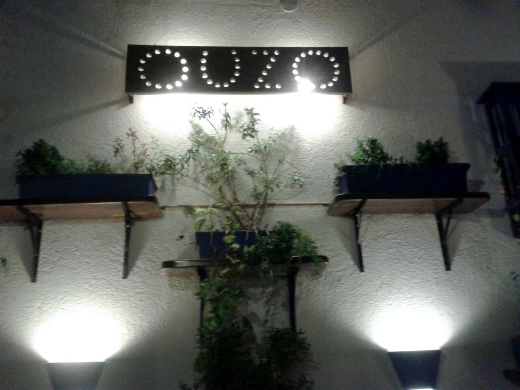 Imagen 5