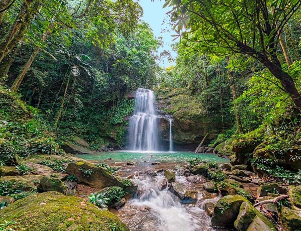 Parque Arví