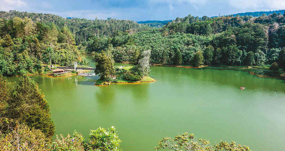 Explora el Parque Arví