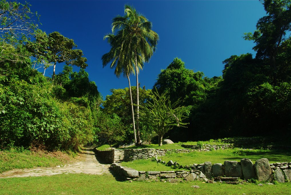 Imagen 4