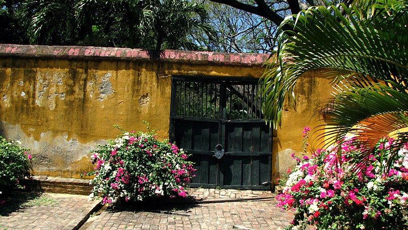 Imagen 5