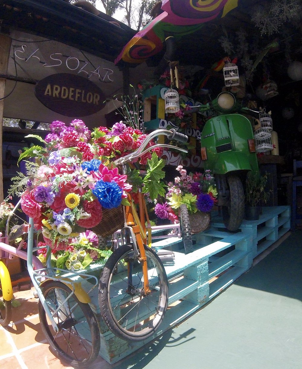 Imagen 4