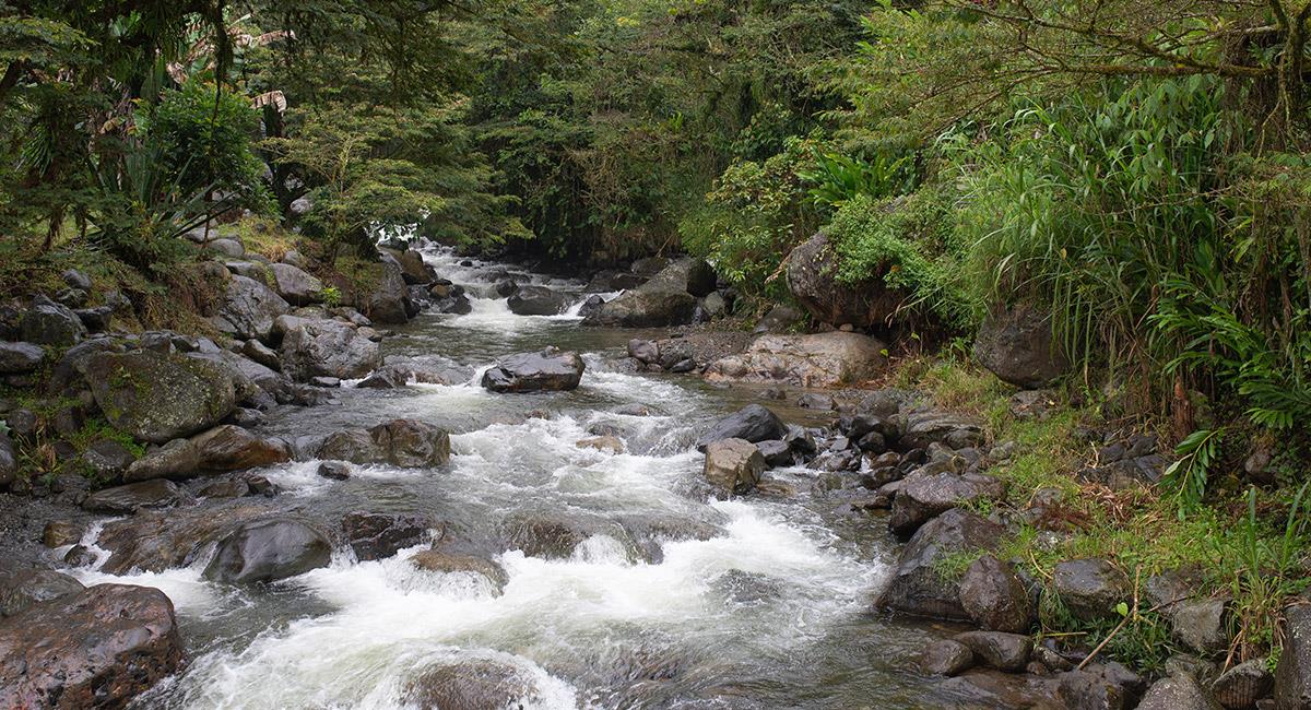 Río Pance