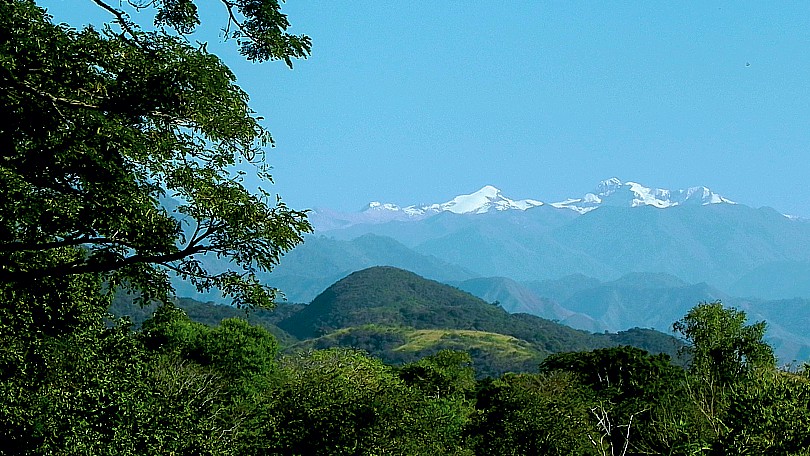 Imagen 5